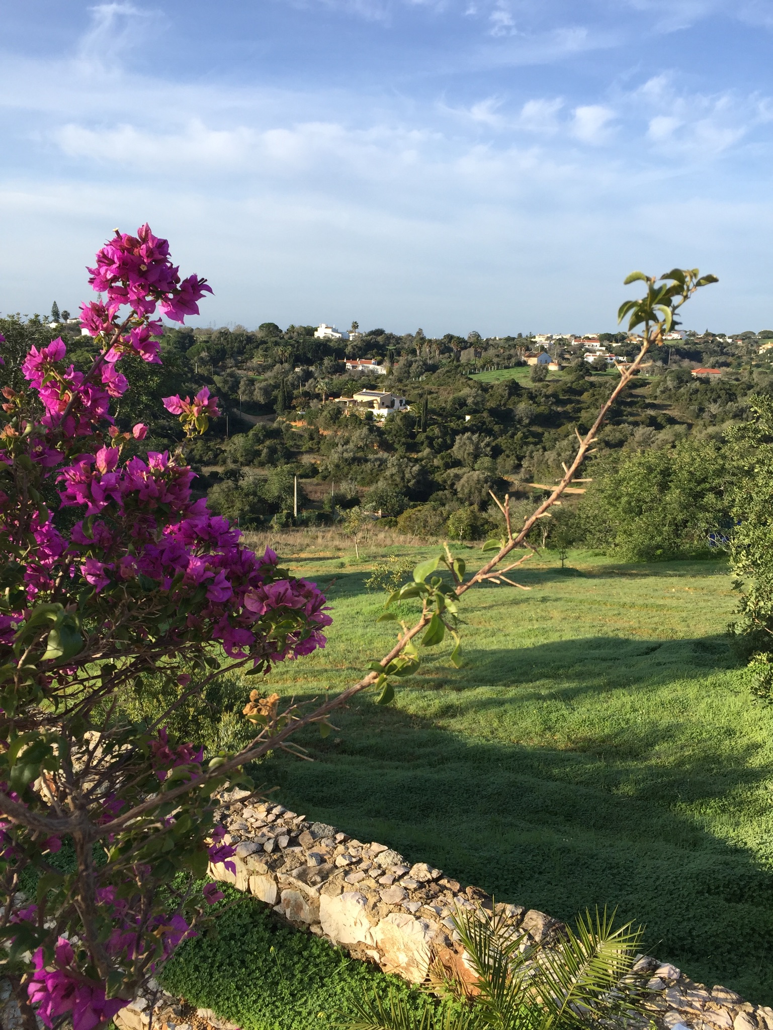 Montinho Tiny House Benagil Algarve