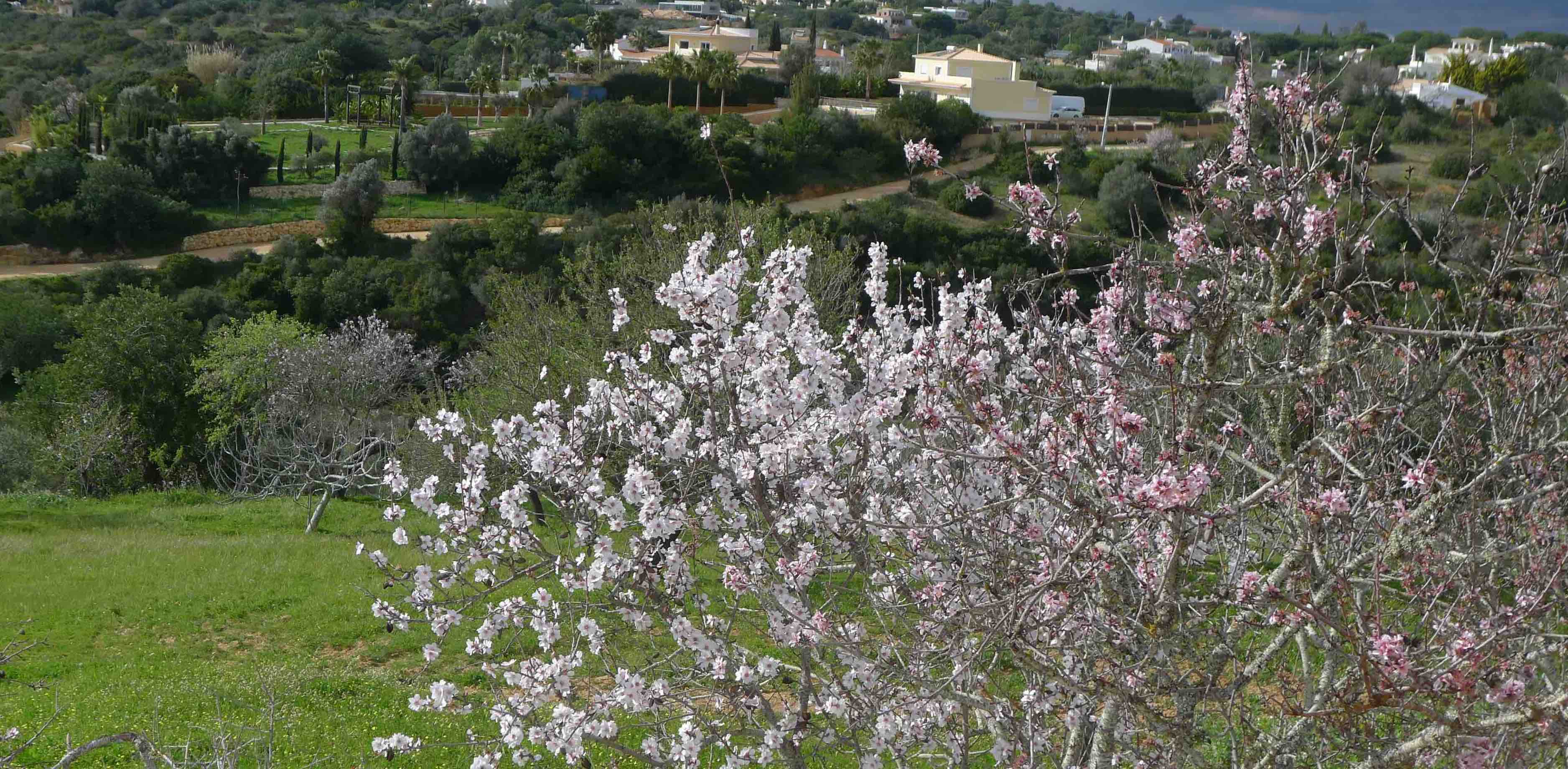 Montinho Tiny House Benagil Algarve